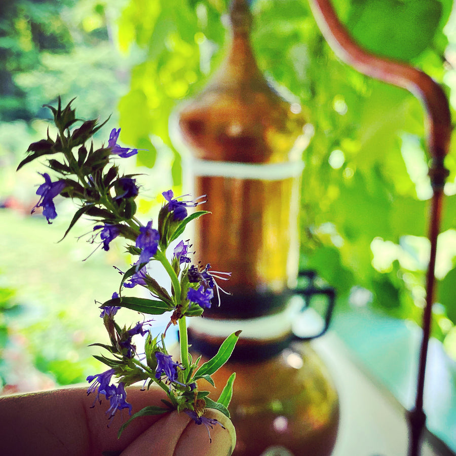 June 29th / 10am-6pm / Aromatic Distillation: A Ritual Journey of Self-Reflection with Erika Galentin, MNIMH, RH (AHG)