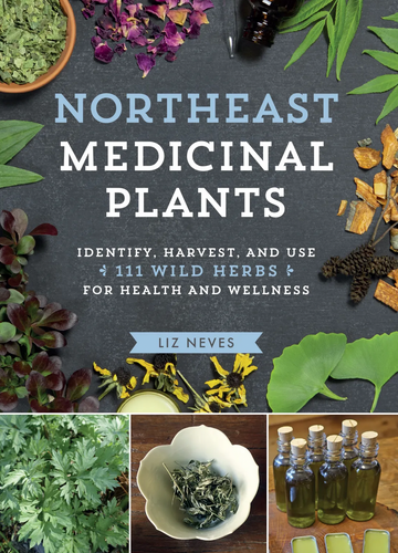 Northeast Medicinal Plants by Liz Neves
