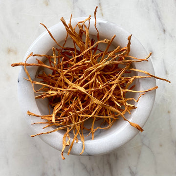 Cordyceps Mushroom