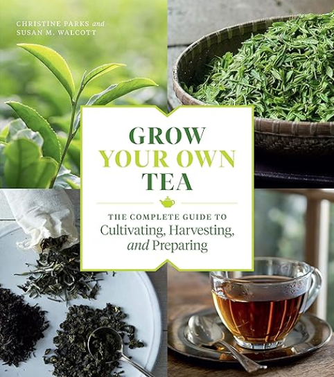 Grow Your Own Tea by Christine Parks & Susan Walcott