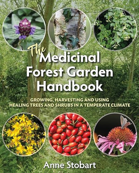 The Medicinal Forest Garden Handbook by Anne Stobart