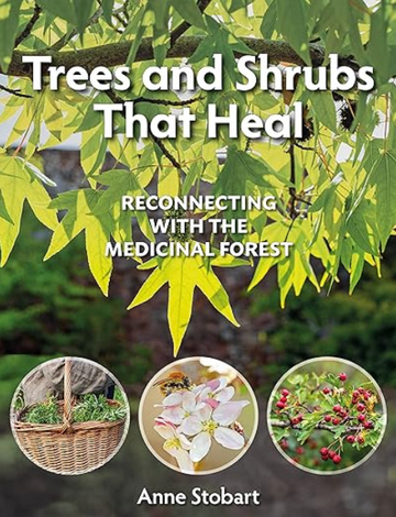 Trees & Shrubs That Heal by Anne Stobart
