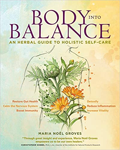 Body Into Balance by Maria Noel Groves