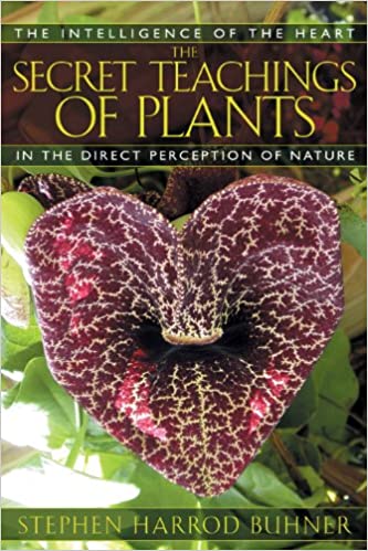 The Secret Teachings of Plants By Stephen Harrod Buhner