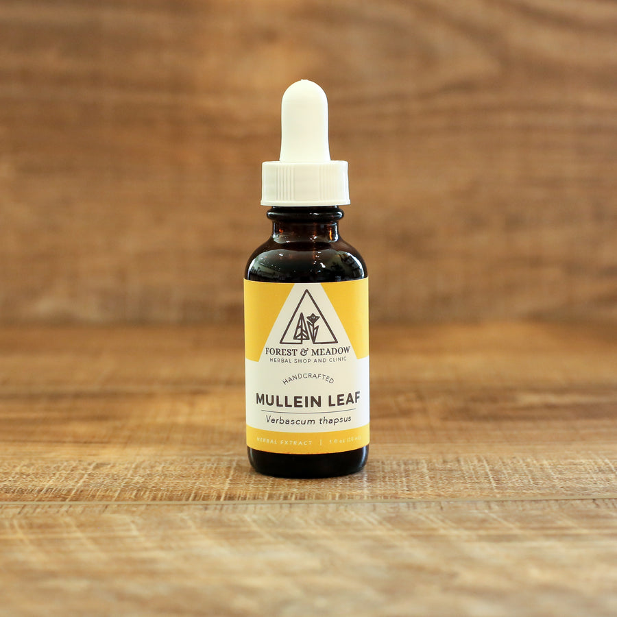 Mullein Leaf Extract Mullein Leaf Extract
